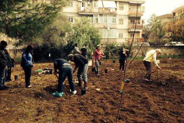 Bari, una piccola campagna tra i palazzi cittadini: � l'orto Effetto terra